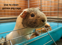 Load image into Gallery viewer, LUCAA+ Pet Probiotic Stay Cleaner Concentrate 1LTR