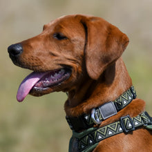 Load image into Gallery viewer, GO-CEE | Dog Collar | Fern