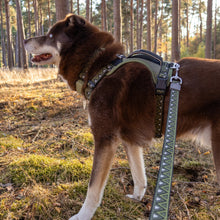 Load image into Gallery viewer, GO-CEE | Dog Lead | Fern