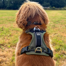 Load image into Gallery viewer, GO-B-BOLD™ | Dog Harness | Fern