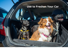 Load image into Gallery viewer, LUCAA+ Pet Probiotic Odour Remover - 300ml Spray