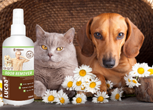 Load image into Gallery viewer, LUCAA+ Pet Probiotic Odour Remover - 300ml Spray