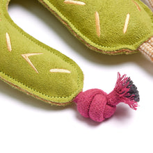 Load image into Gallery viewer, Prickly Pam, Eco Horse & Dog Toy