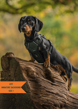 Load image into Gallery viewer, TWIGGY TAGS ADVENTURE HARNESS - DISCONTINUED LINES - REDUCED TO CLEAR