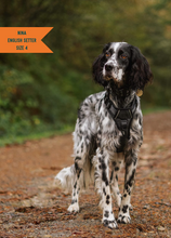 Load image into Gallery viewer, TWIGGY TAGS ADVENTURE HARNESS - DISCONTINUED LINES - REDUCED TO CLEAR