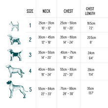 Load image into Gallery viewer, TWIGGY TAGS ADVENTURE HARNESS - DISCONTINUED LINES - REDUCED TO CLEAR