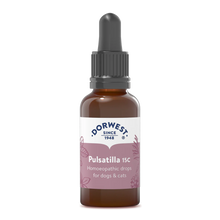 Load image into Gallery viewer, Pulsatilla 15C - 15ml Liquid