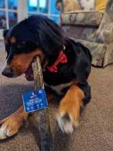 Load image into Gallery viewer, Jumbo Jerky Toothbrush - 100% Cod