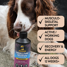 Load image into Gallery viewer, Salmon Oil for Joint & Mobility Support - Omega Bounce