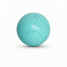 Load image into Gallery viewer, Boomi Ball