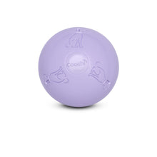 Load image into Gallery viewer, Boomi Ball