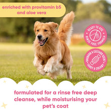 Load image into Gallery viewer, Rhubarb & Custard Waterless Dry Dog Shampoo 200ml