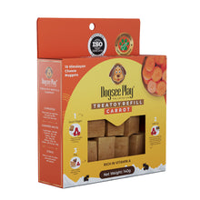 Load image into Gallery viewer, Dogsee Play Refill Pack Flavoured - 10pcs