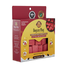 Load image into Gallery viewer, Dogsee Play Refill Pack Flavoured - 10pcs