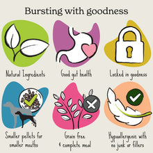 Load image into Gallery viewer, Forthglade Cold Pressed Turkey Small Dog Grain Free 2kg