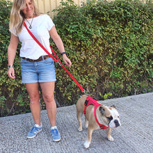 Load image into Gallery viewer, Miro &amp; Makauri 3 point Double Ended Walking/Training Dog Lead
