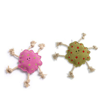 Load image into Gallery viewer, Splat, Eco Dog Toy