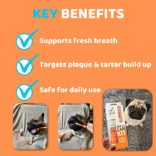 Load image into Gallery viewer, Dogslife Toothbrushes and Toothpaste