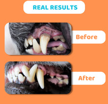 Load image into Gallery viewer, Dogslife Toothbrushes and Toothpaste