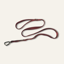 Load image into Gallery viewer, TWIGGY TAGS ADVENTURE LEAD - DISCONTINUED LINES - REDUCED TO CLEAR