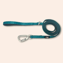 Load image into Gallery viewer, TWIGGY TAGS ADVENTURE LEAD - DISCONTINUED LINES - REDUCED TO CLEAR