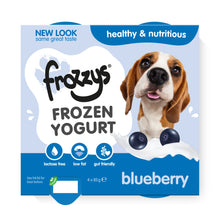 Load image into Gallery viewer, Frozzys Frozen Yogurt - Blueberry 4pk