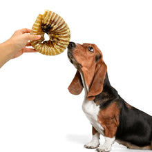 Load image into Gallery viewer, Beef Trachea Ring