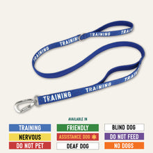 Load image into Gallery viewer, Awareness Close Control Lead