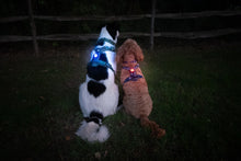 Load image into Gallery viewer, TrekBright® Dog Safety Light