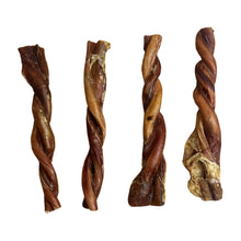Load image into Gallery viewer, Bull Twisted Pizzle 24cm