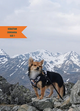 Load image into Gallery viewer, TWIGGY TAGS ADVENTURE HARNESS - DISCONTINUED LINES - REDUCED TO CLEAR