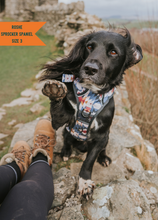 Load image into Gallery viewer, TWIGGY TAGS ADVENTURE HARNESS - DISCONTINUED LINES - REDUCED TO CLEAR