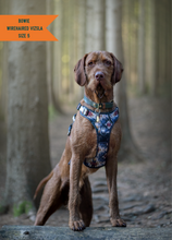 Load image into Gallery viewer, TWIGGY TAGS ADVENTURE HARNESS - DISCONTINUED LINES - REDUCED TO CLEAR