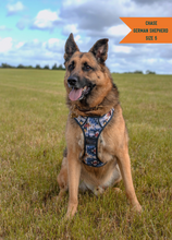 Load image into Gallery viewer, TWIGGY TAGS ADVENTURE HARNESS - DISCONTINUED LINES - REDUCED TO CLEAR