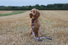 Load image into Gallery viewer, TWIGGY TAGS ADVENTURE LEAD - DISCONTINUED LINES - REDUCED TO CLEAR