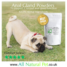 Load image into Gallery viewer, Anal Gland Powders 265ml
