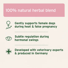 Load image into Gallery viewer, Hormone Balance 80g - For Female Dogs