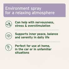 Load image into Gallery viewer, Relax Spray 100ml