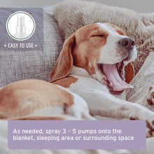 Load image into Gallery viewer, Relax Spray 100ml