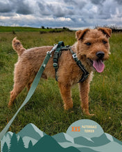 Load image into Gallery viewer, Apex® Harness