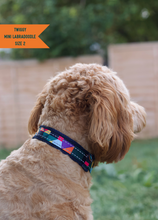 Load image into Gallery viewer, TWIGGY TAGS ADVENTURE COLLARS - DISCONTINUED LINES - REDUCED TO CLEAR