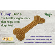 Load image into Gallery viewer, MaksPatch - BumpiBone - Fruit & Veg Dental Bone.