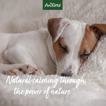 Load image into Gallery viewer, Calm & Relax Powder for Dogs - 100g