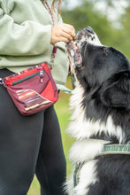 Load image into Gallery viewer, Crosslander™ Treat Pouch