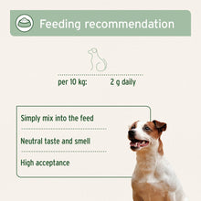 Load image into Gallery viewer, Collagen Powder 250g - Supports Joints, Tendons, Ligaments & Cartilage