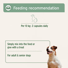 Load image into Gallery viewer, Devil’s Claw Root 100 Capsules