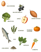 Load image into Gallery viewer, Fish 80:20 Fresh Frozen