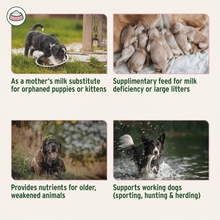 Load image into Gallery viewer, Goat Milk Powder 500g