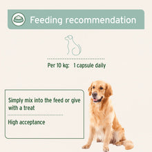 Load image into Gallery viewer, Green Lipped Mussel Capsules for Dogs - Joint Support Supplement