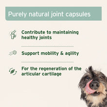 Load image into Gallery viewer, Green Lipped Mussel Capsules for Dogs - Joint Support Supplement